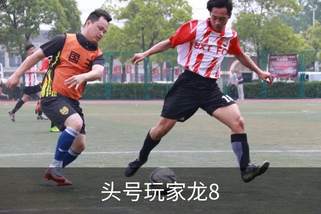 关于头号玩家龙8